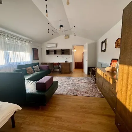 Peaceful & Spacious With A Beautiful Garden 卢布尔雅那